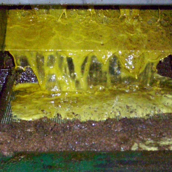 CONTINUOUS PRESS FOR THE WORKING OF OIL-SEEDS